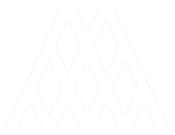 Logo Matchity white